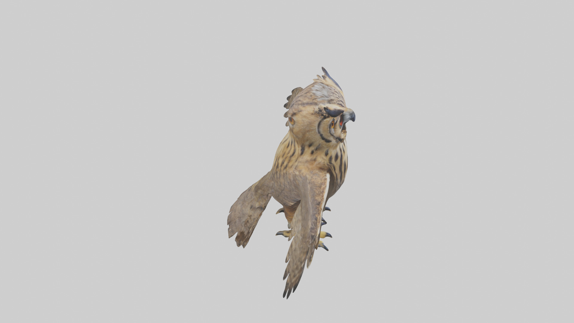Eurasian Eagle Owl perching model Low-poly 3D model_28