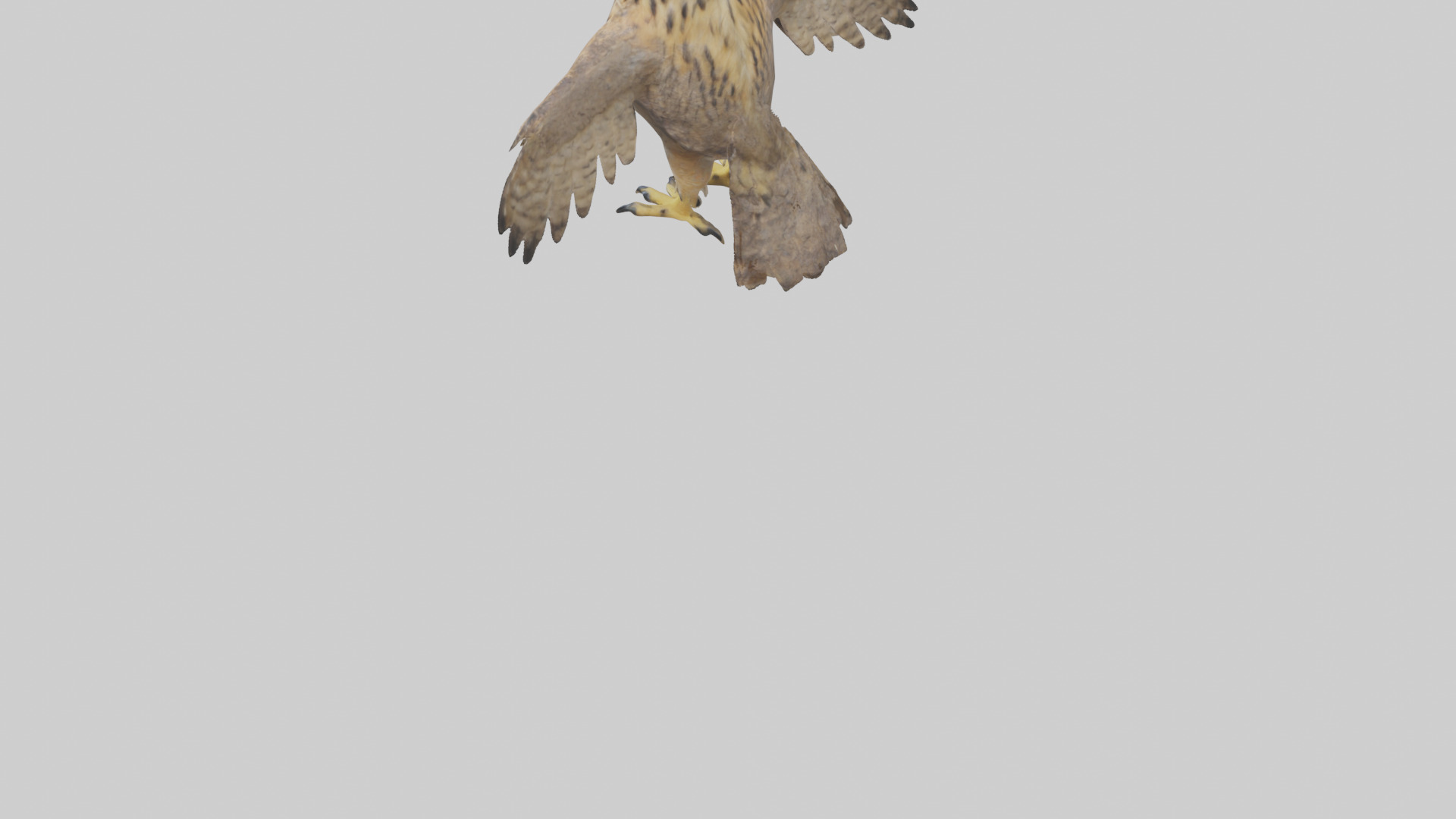Eurasian Eagle Owl perching model Low-poly 3D model_4