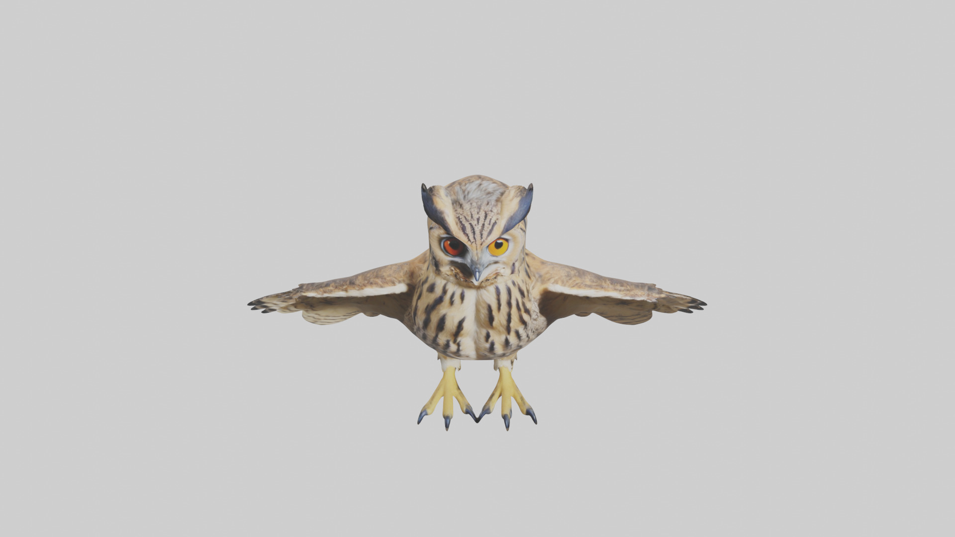 Eurasian Eagle Owl perching model Low-poly 3D model_26