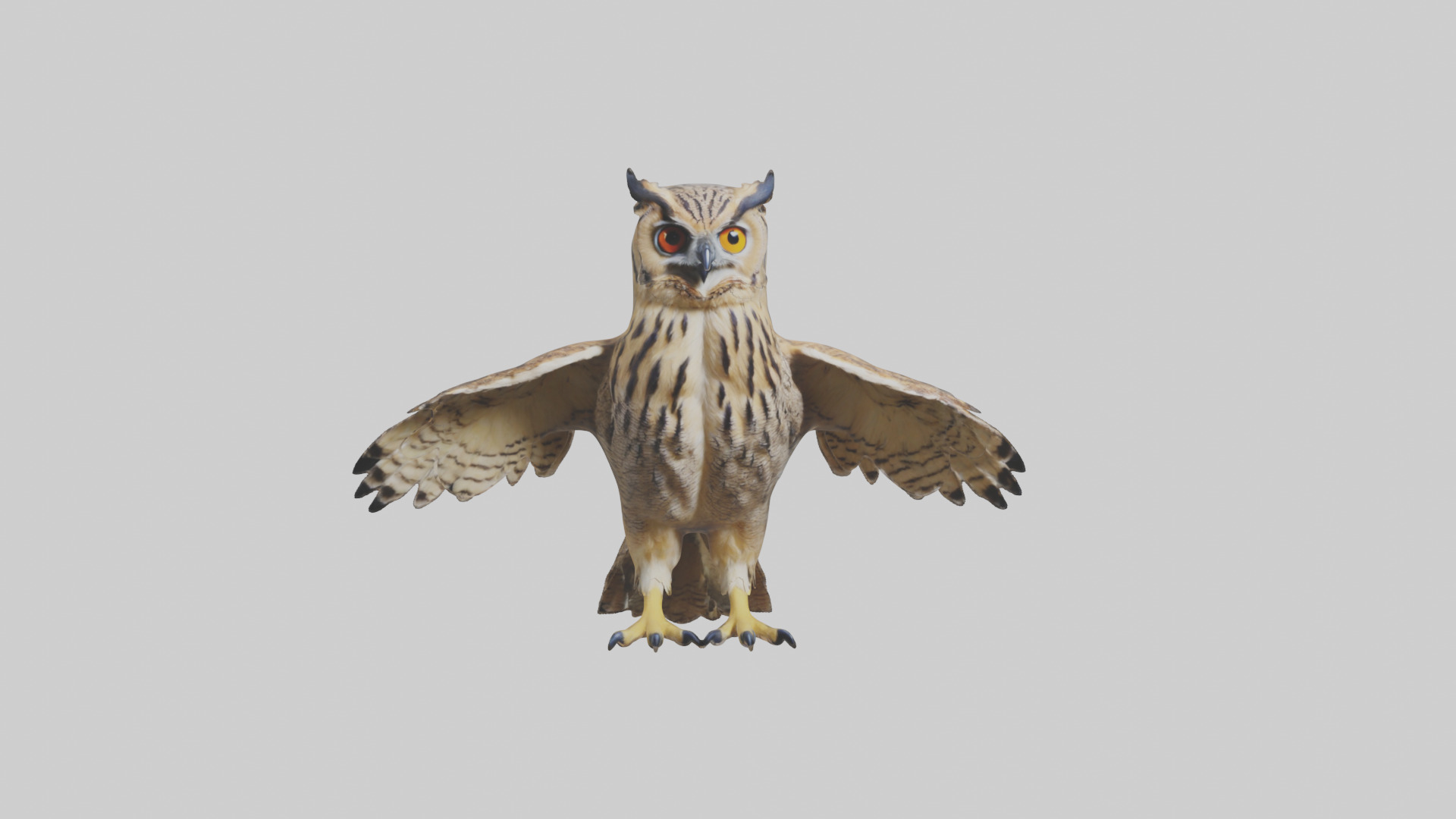 Eurasian Eagle Owl perching model Low-poly 3D model_17