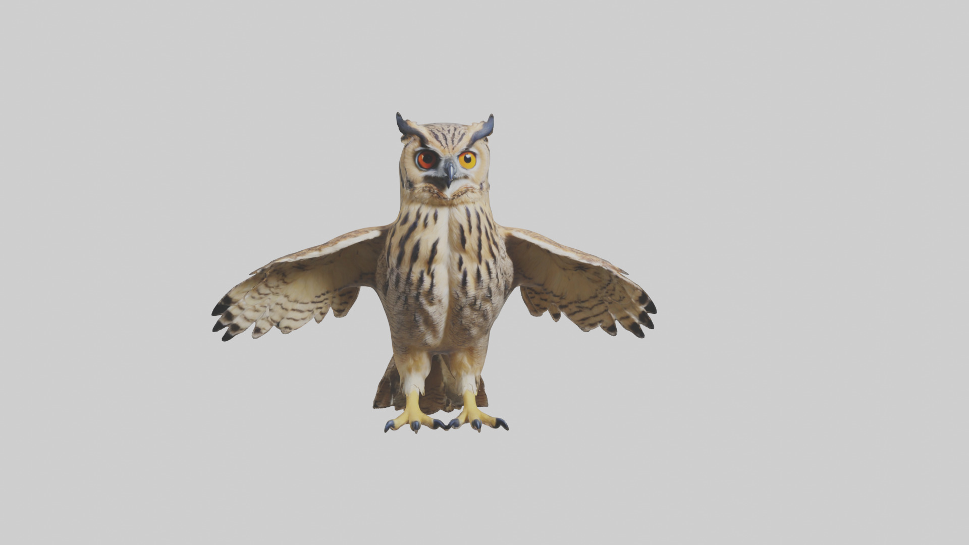 Eurasian Eagle Owl perching model Low-poly 3D model_20