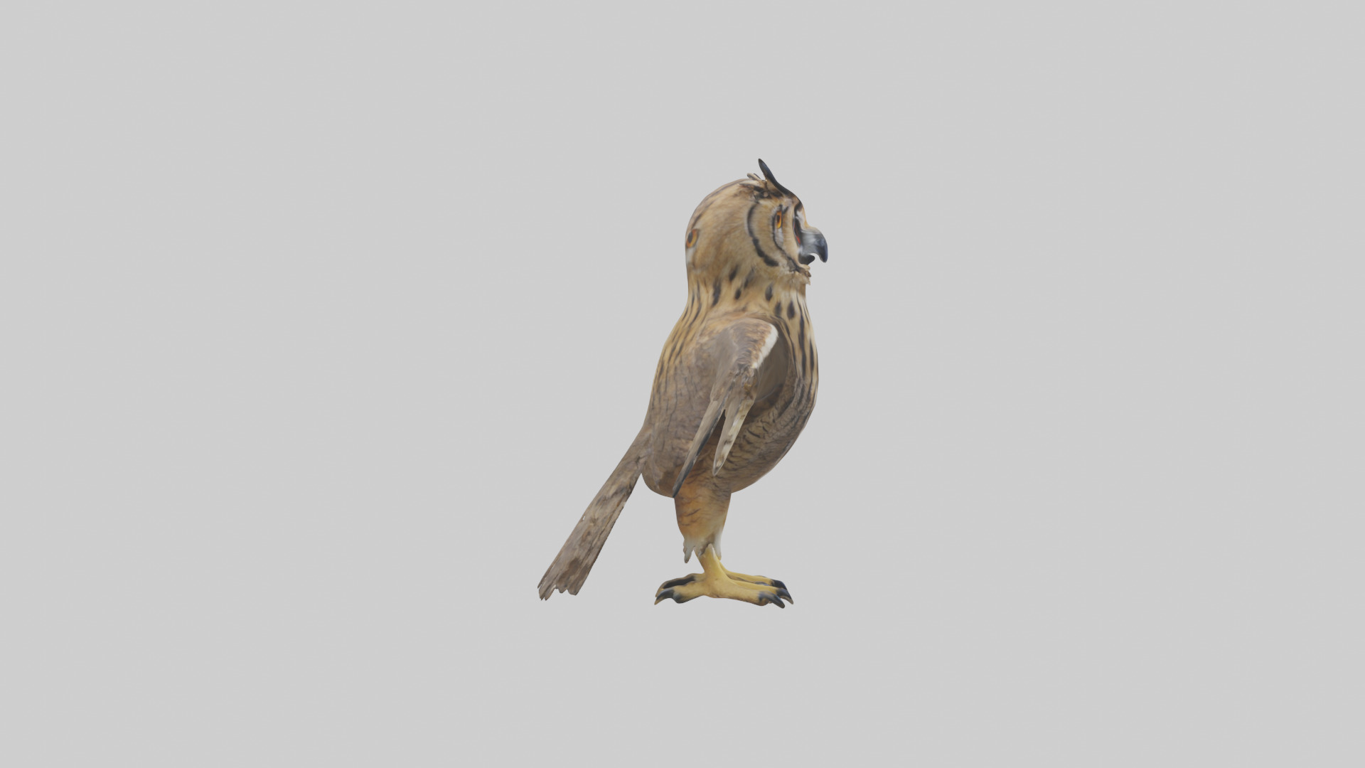 Eurasian Eagle Owl perching model Low-poly 3D model_23