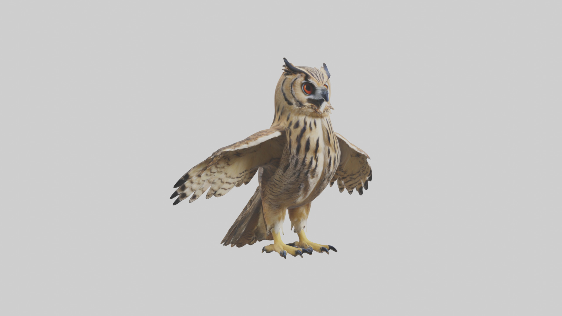 Eurasian Eagle Owl perching model Low-poly 3D model_16