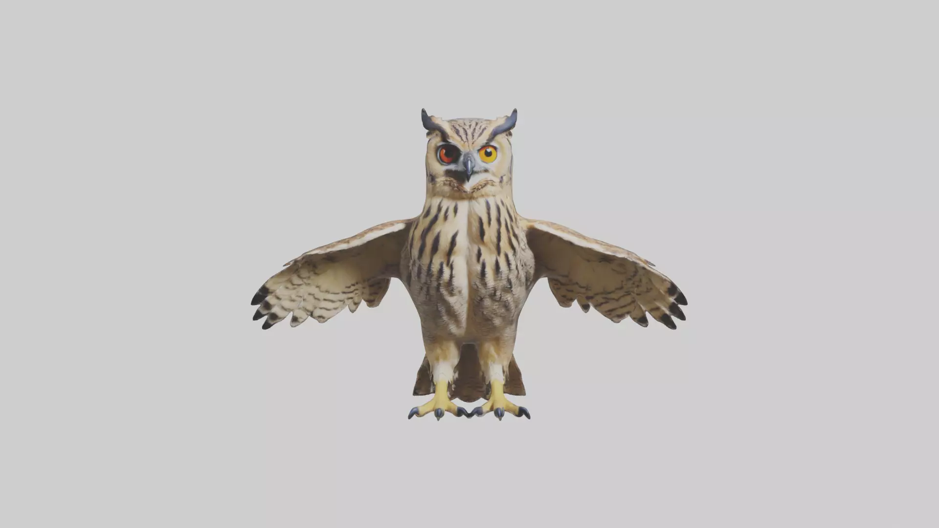 Eurasian Eagle Owl perching model Low-poly 3D model_0