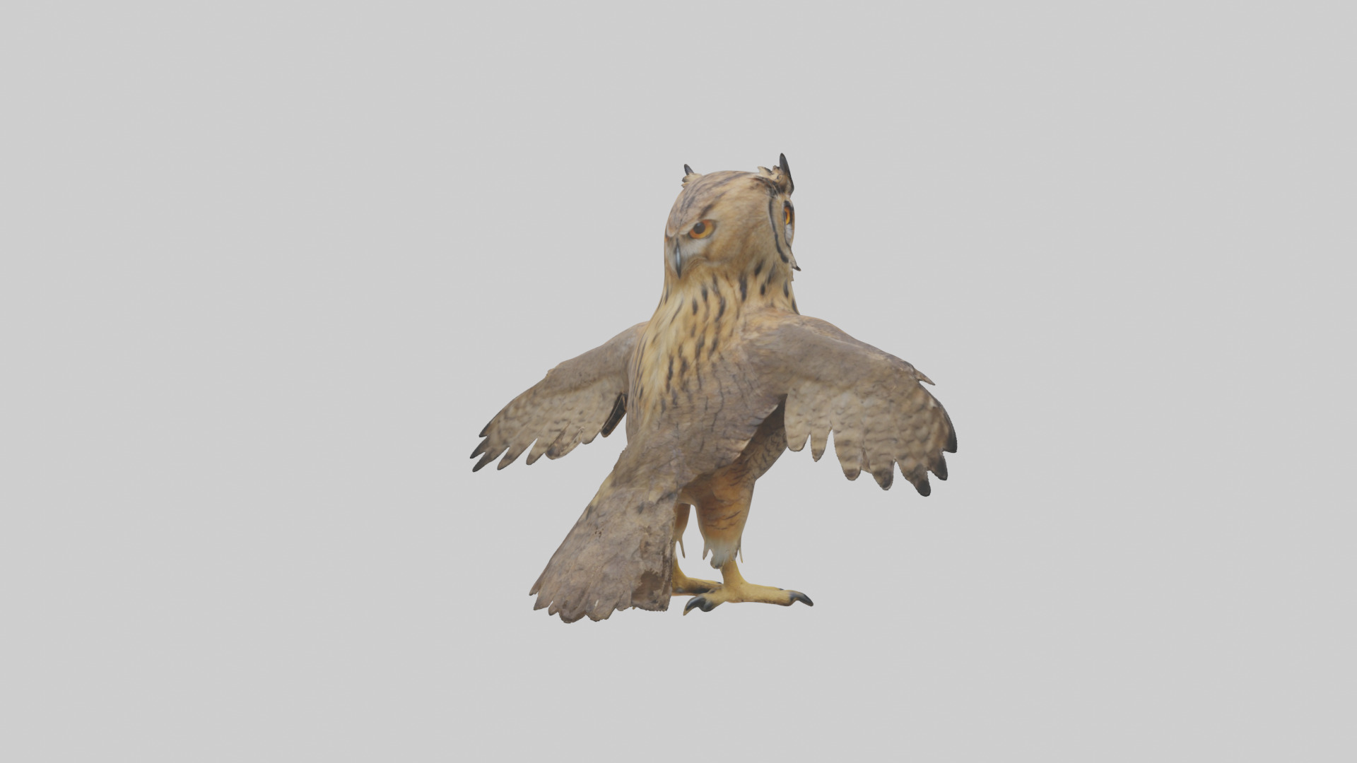 Eurasian Eagle Owl perching model Low-poly 3D model_3