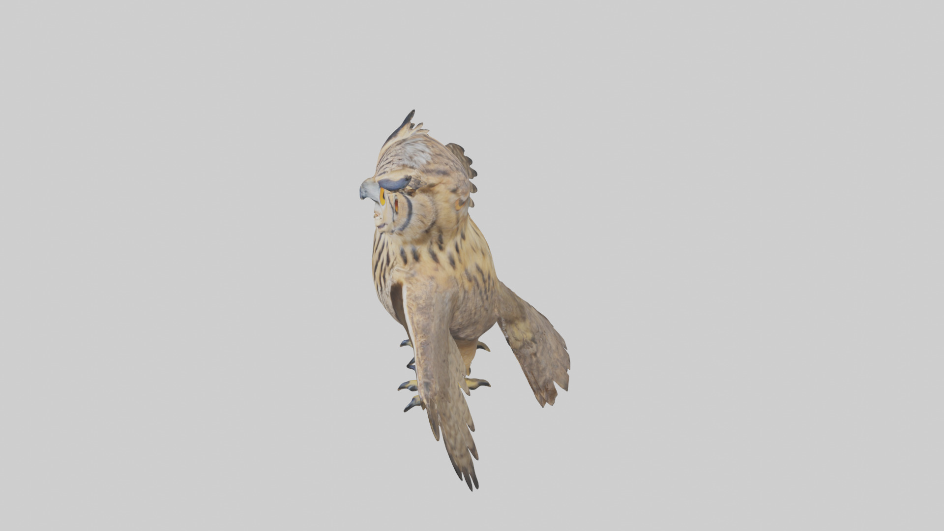 Eurasian Eagle Owl perching model Low-poly 3D model_27