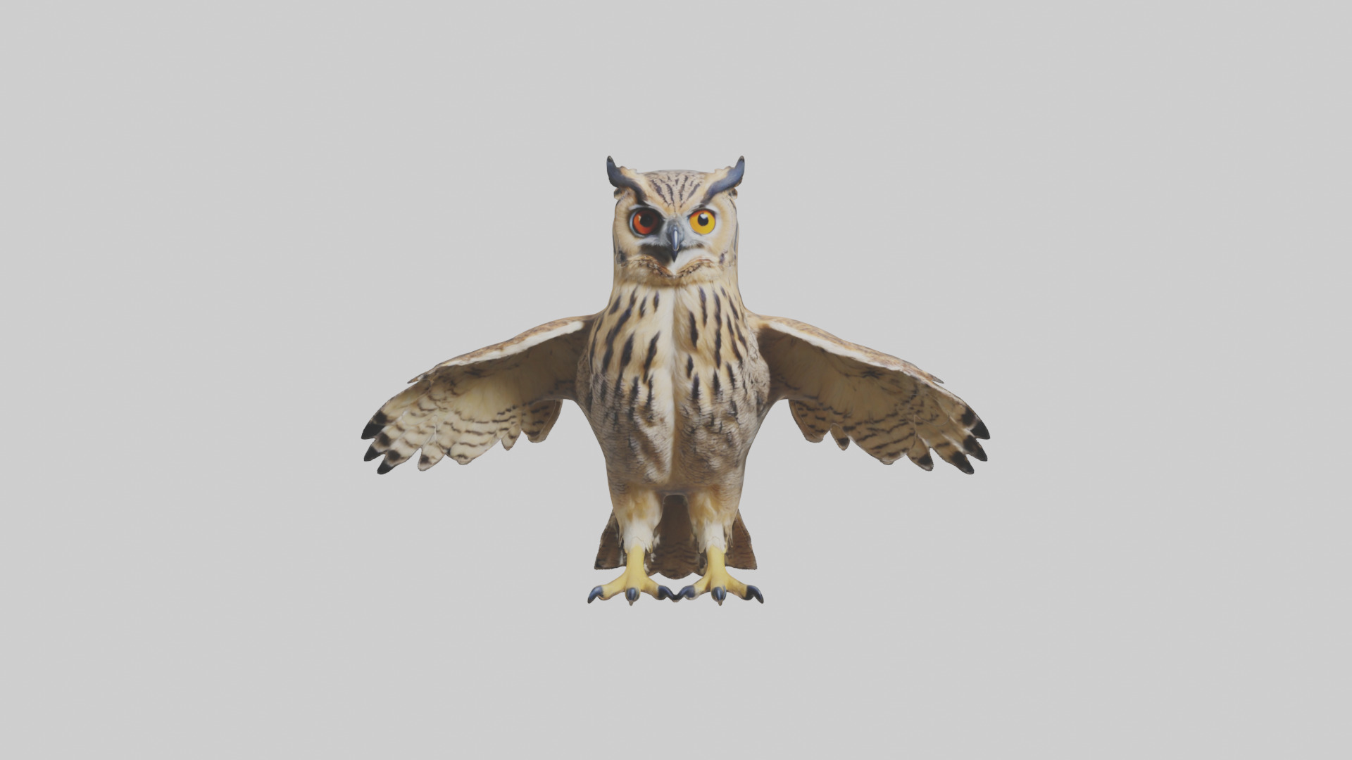 Eurasian Eagle Owl perching model Low-poly 3D model_10