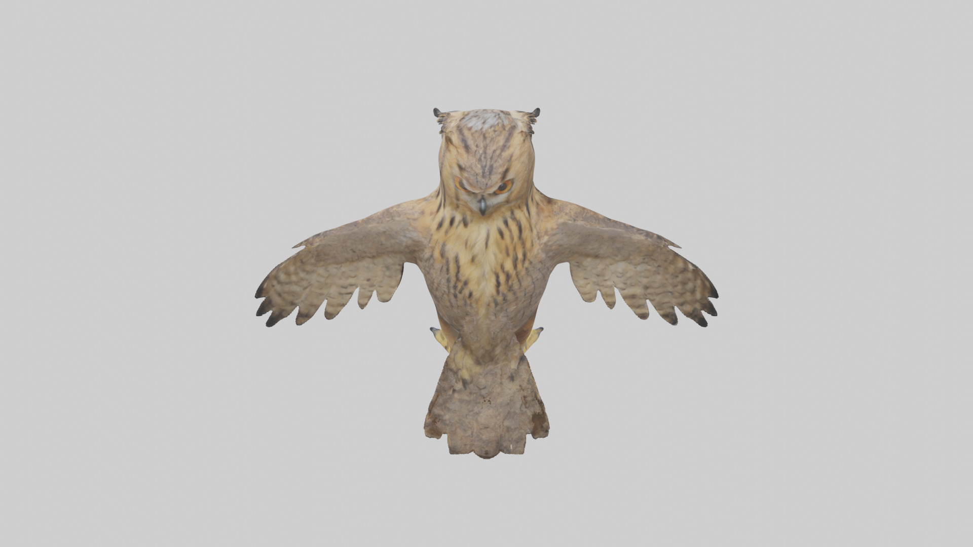 Eurasian Eagle Owl perching model Low-poly 3D model_25