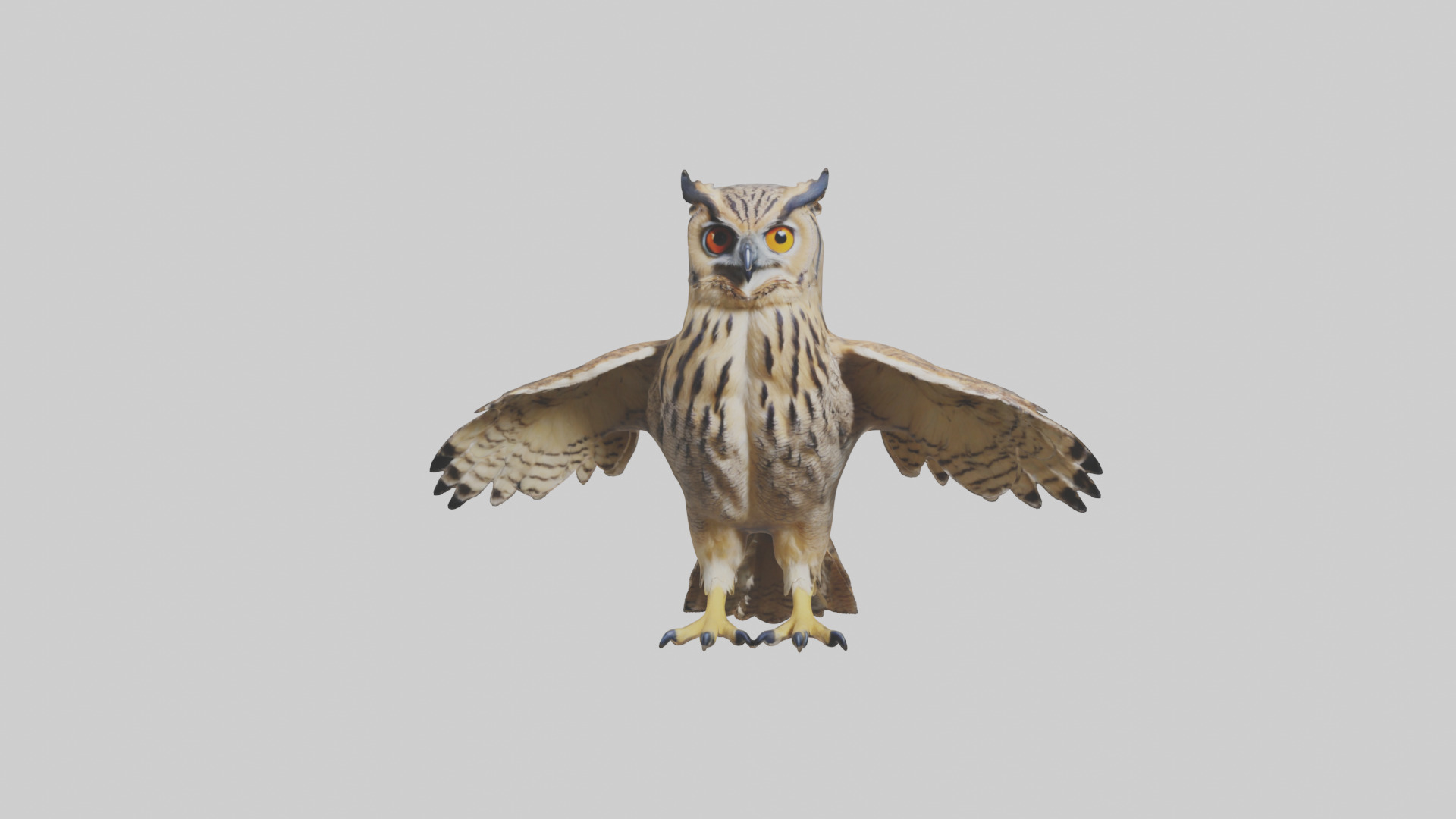 Eurasian Eagle Owl perching model Low-poly 3D model_12