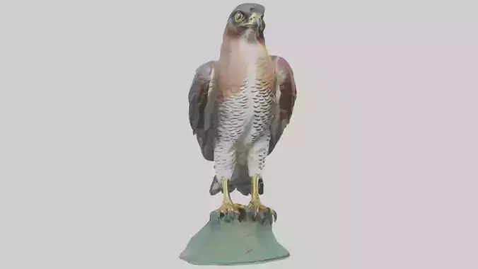 Eurasian Sparrowhawk statue model