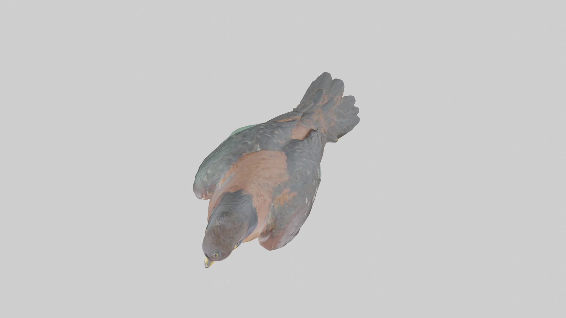 Eurasian Sparrowhawk statue model Low-poly 3D model_24