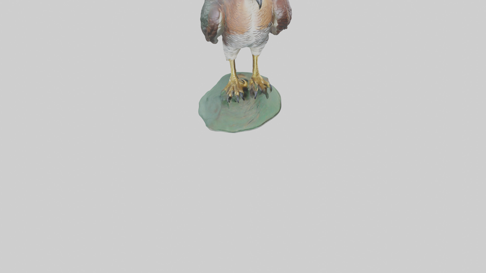 Eurasian Sparrowhawk statue model Low-poly 3D model_8