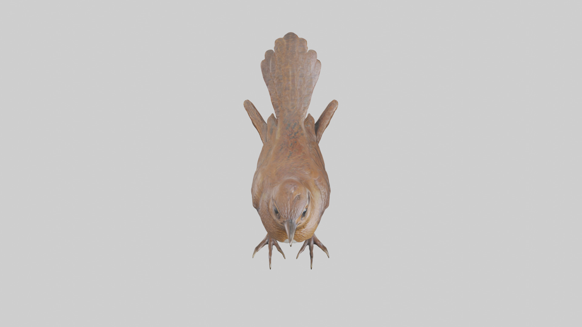 Eurasian Wren statue model Low-poly 3D model_16