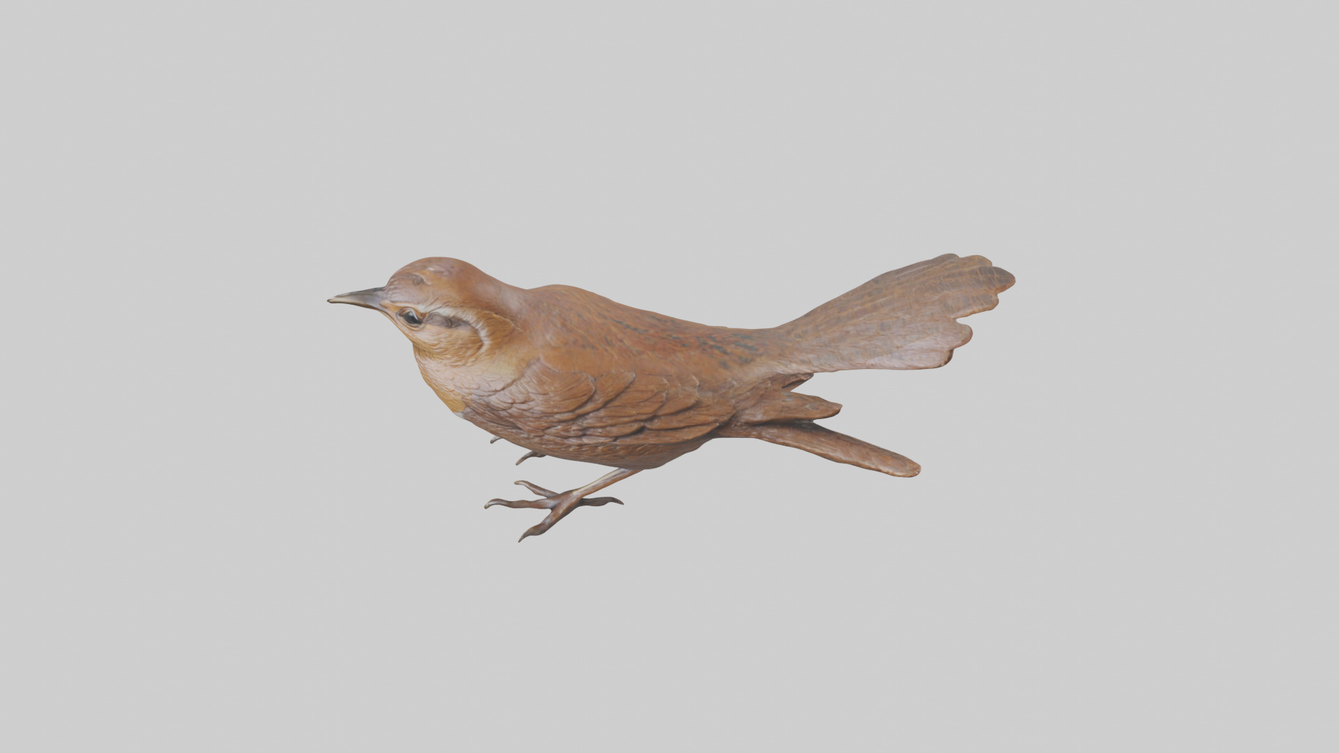 Eurasian Wren statue model Low-poly 3D model_17