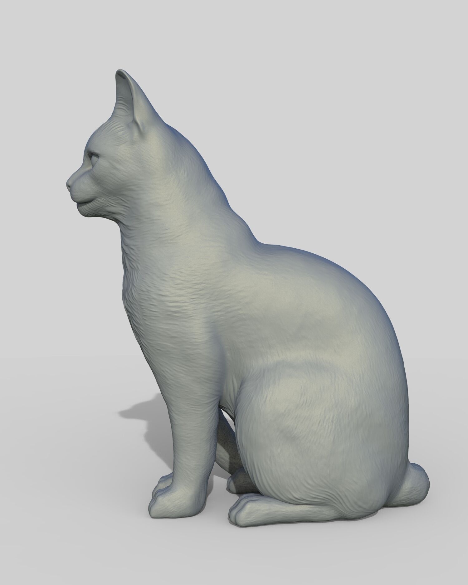Gato sentado 3D print model_5
