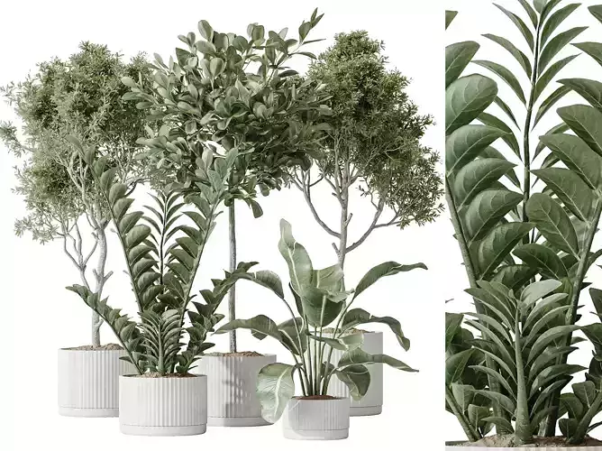 AV Indoor plants set 195 3D model
