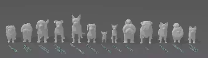 Miniatures - Small Dogs