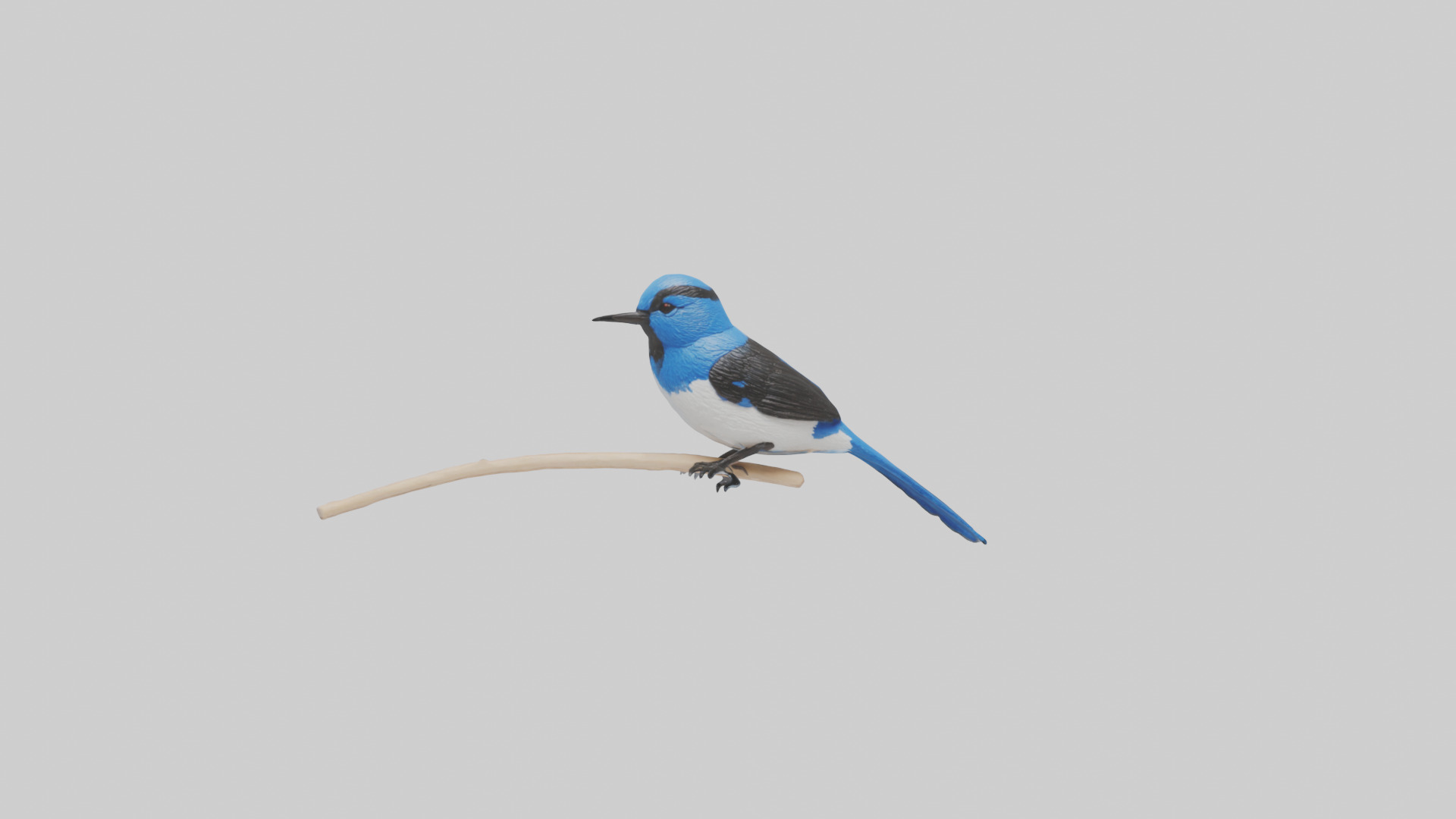 Fairy Wren perched model Low-poly 3D model_20