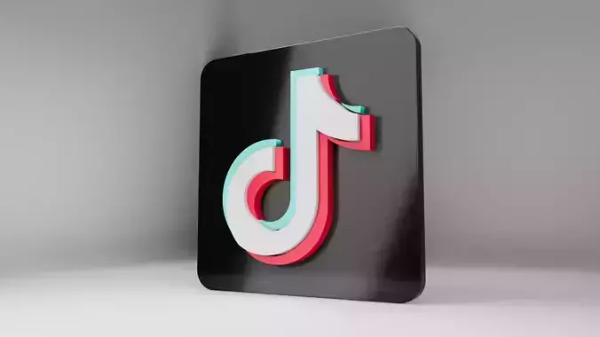  TikTok Logo Sign Board - Customizable - Puzzle 