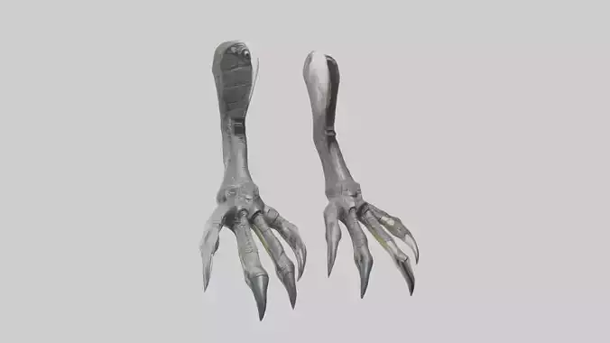 Falcon Talons