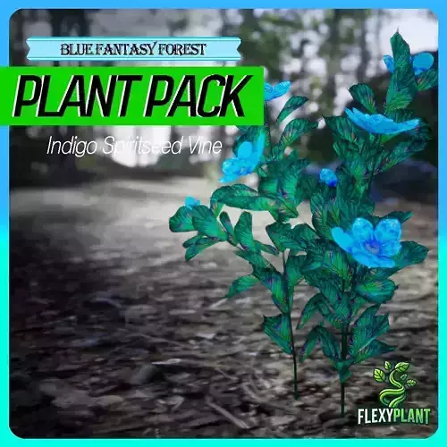 Blue Fantasy Forest - 6 Indigo Spiritseed Vine Grass Fern Plant