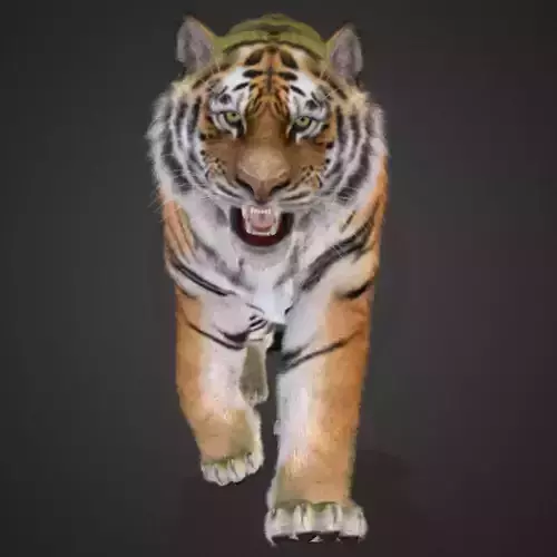 Tiger Realistic Animated