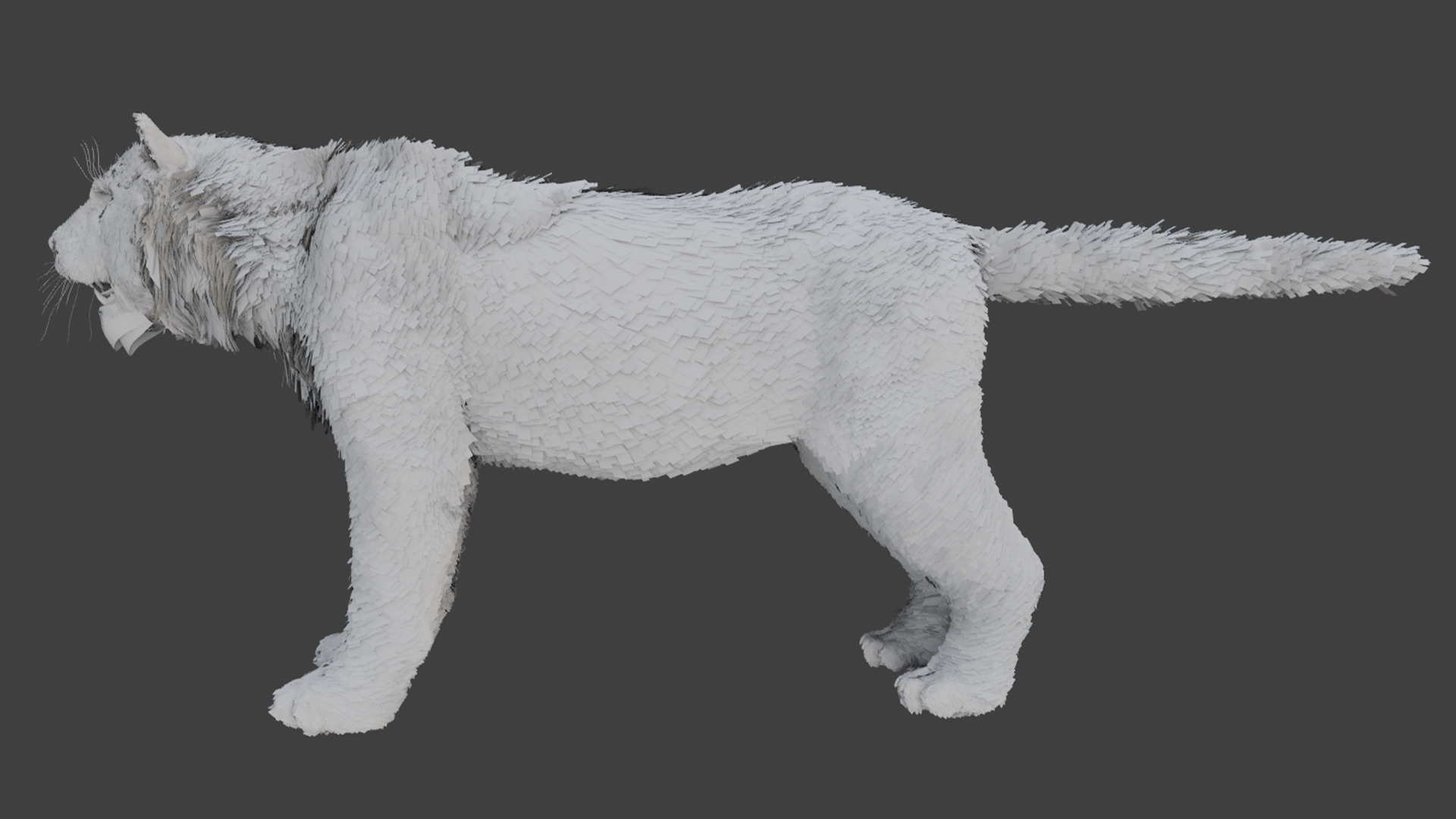 Tiger Realistic Animated 3D model_11