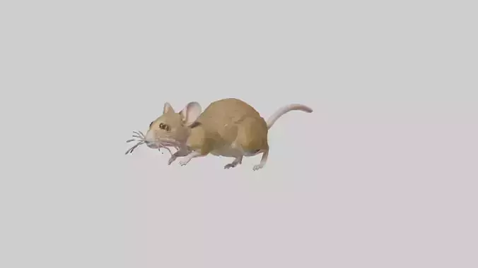 Field Mouse running model