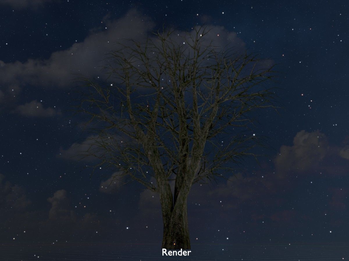 Alnus glutinosa tree winter Package 3D Model Collection_109