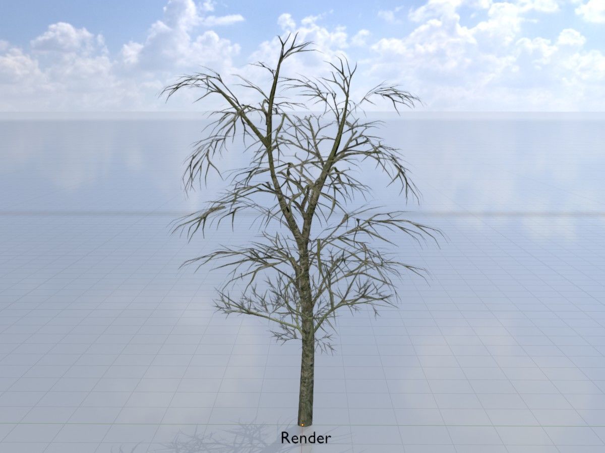 Alnus glutinosa tree winter Package 3D Model Collection_70