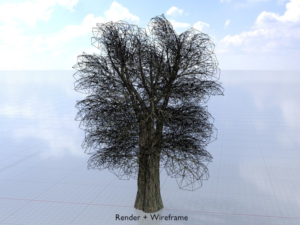 Alnus glutinosa tree winter Package 3D Model Collection_40