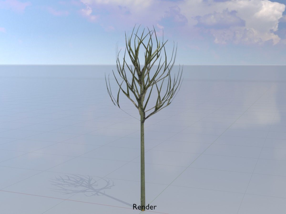 Alnus glutinosa tree winter Package 3D Model Collection_73