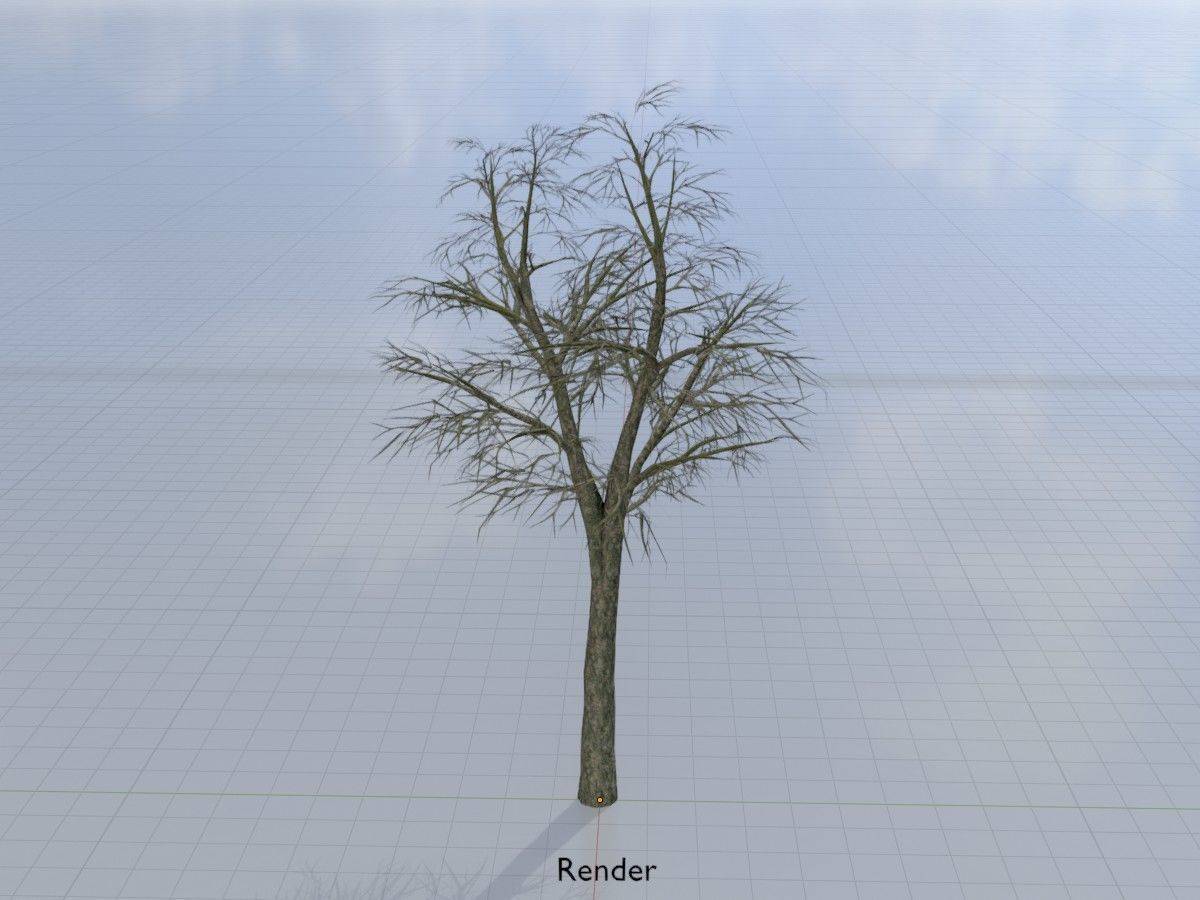 Alnus glutinosa tree winter Package 3D Model Collection_65