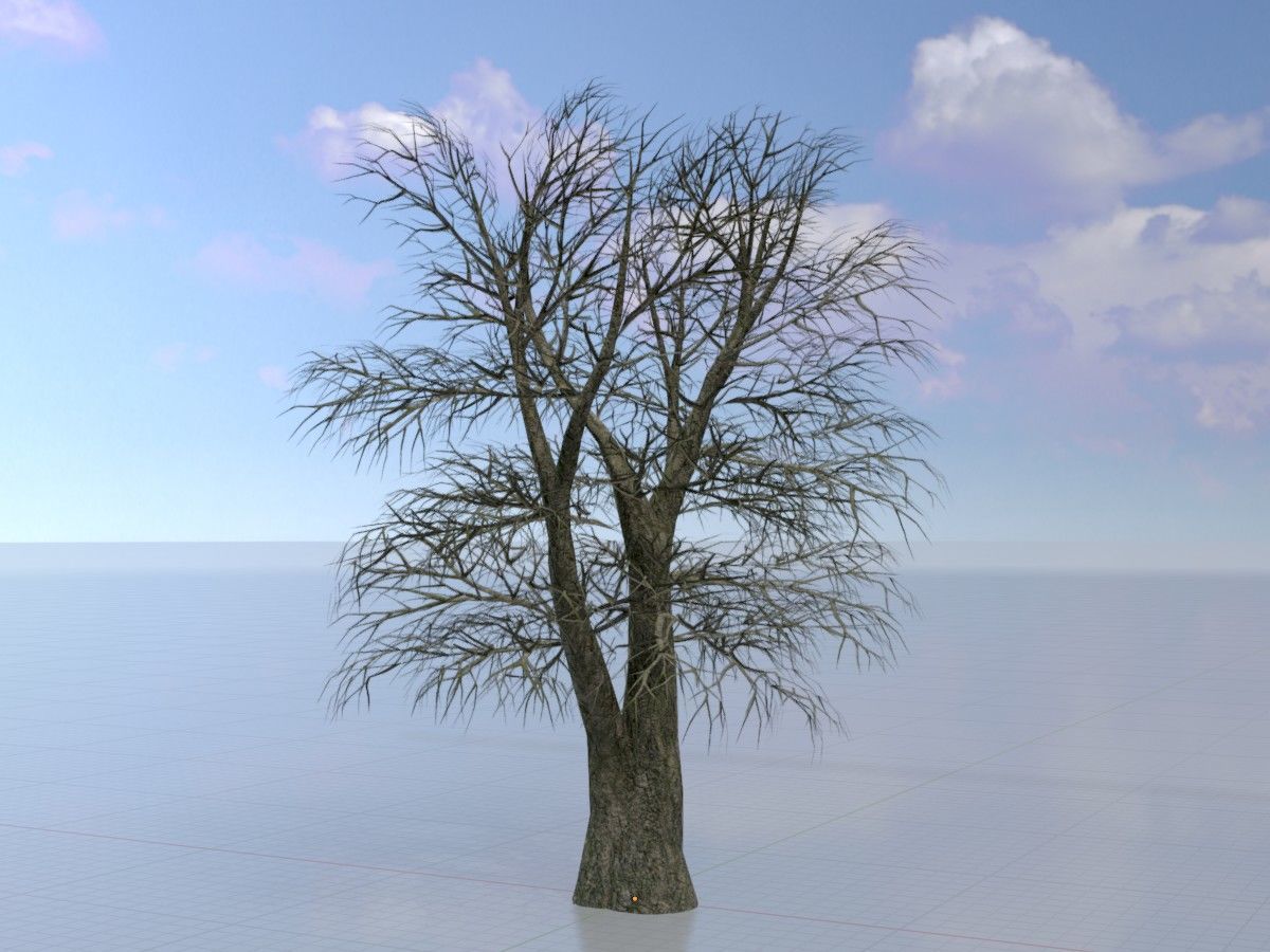 Alnus glutinosa tree winter Package 3D Model Collection_33