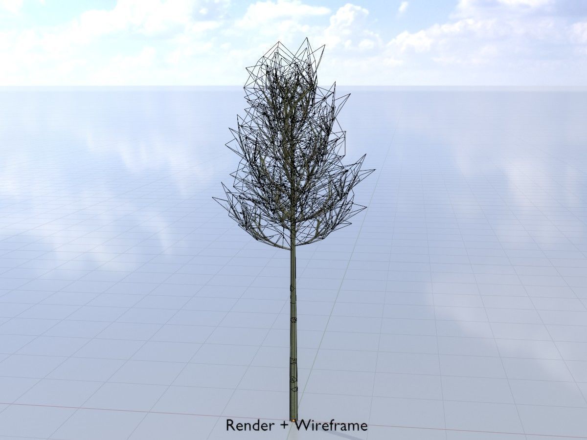 Alnus glutinosa tree winter Package 3D Model Collection_41