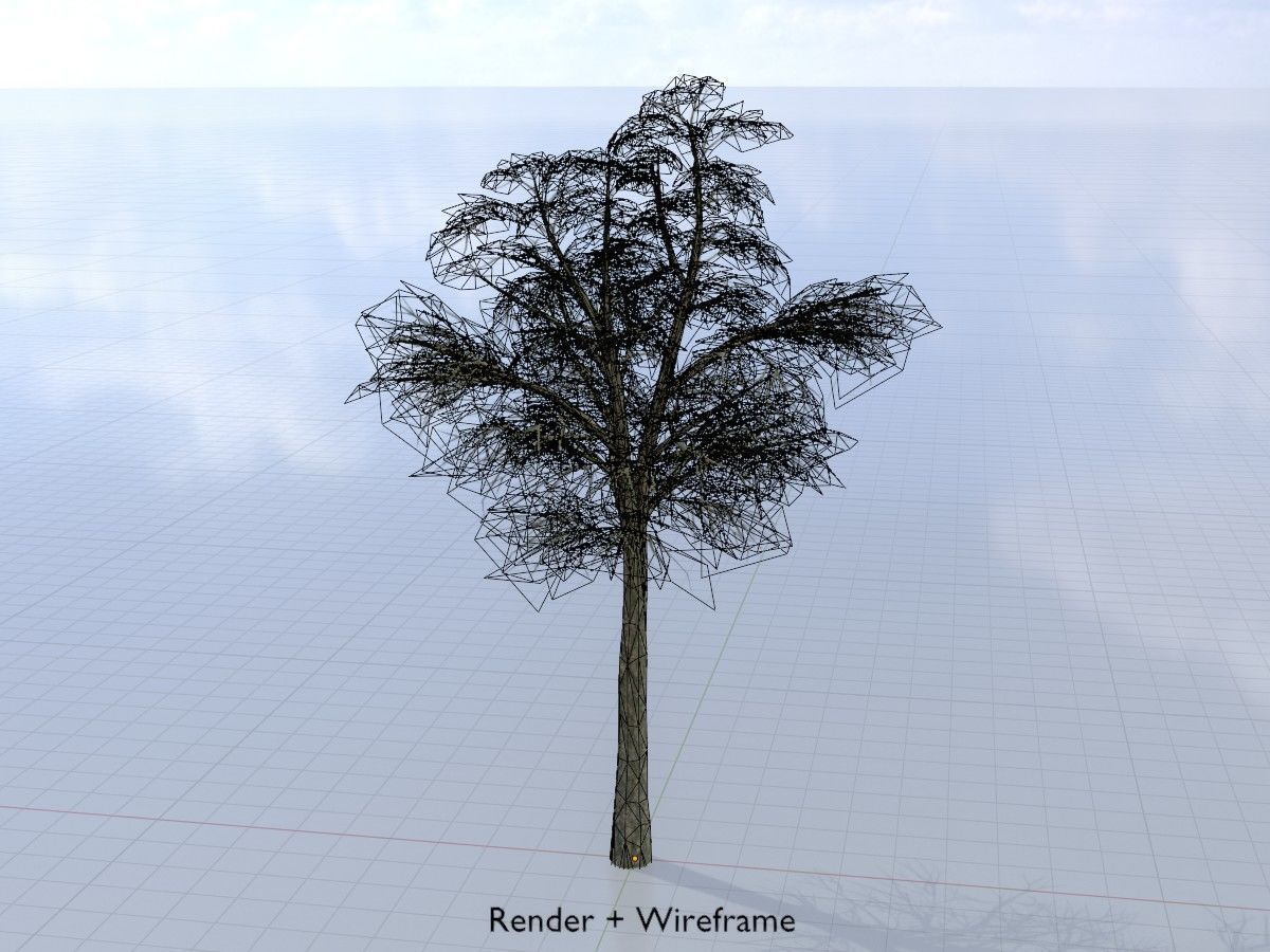 Alnus glutinosa tree winter Package 3D Model Collection_37