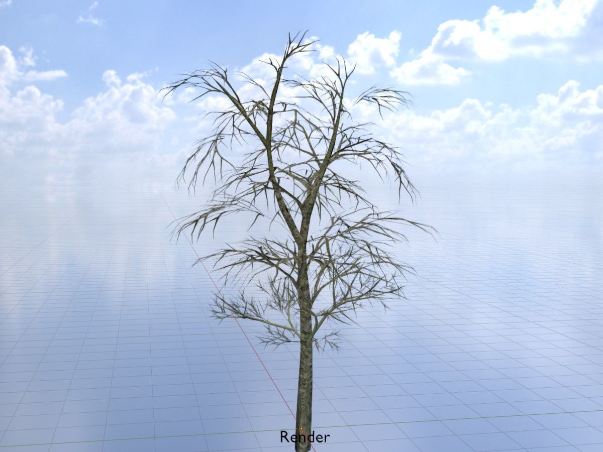 Alnus glutinosa tree winter Package 3D Model Collection_98