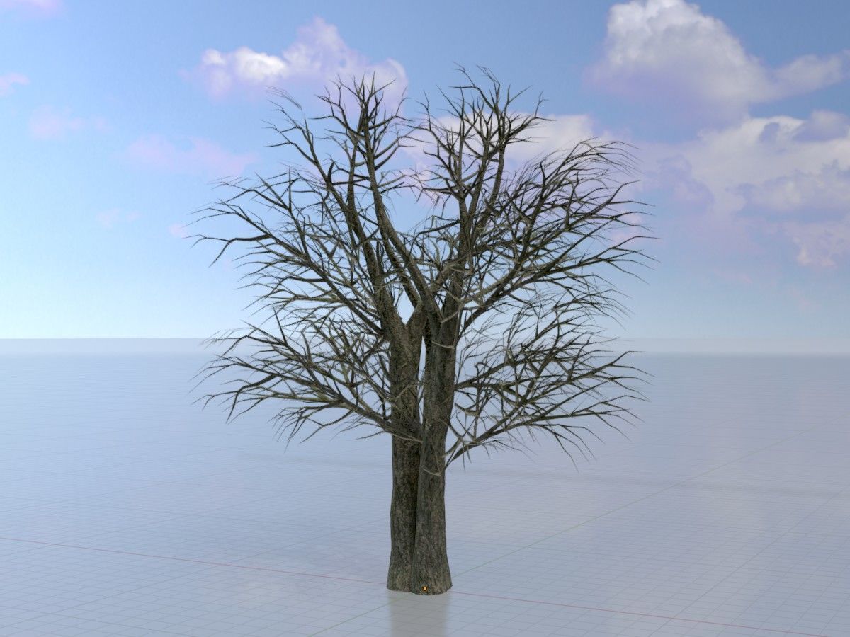 Alnus glutinosa tree winter Package 3D Model Collection_32