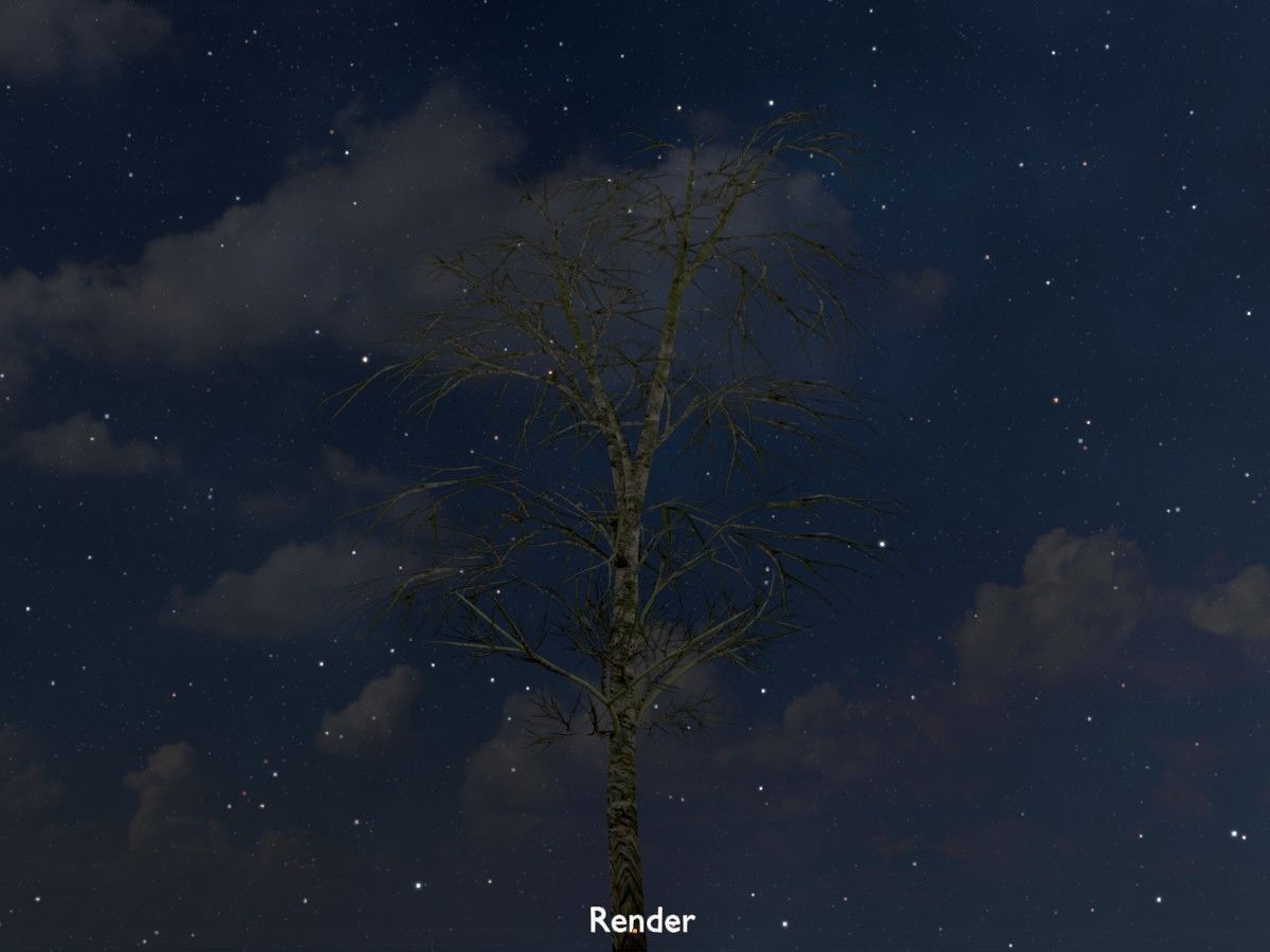 Alnus glutinosa tree winter Package 3D Model Collection_112