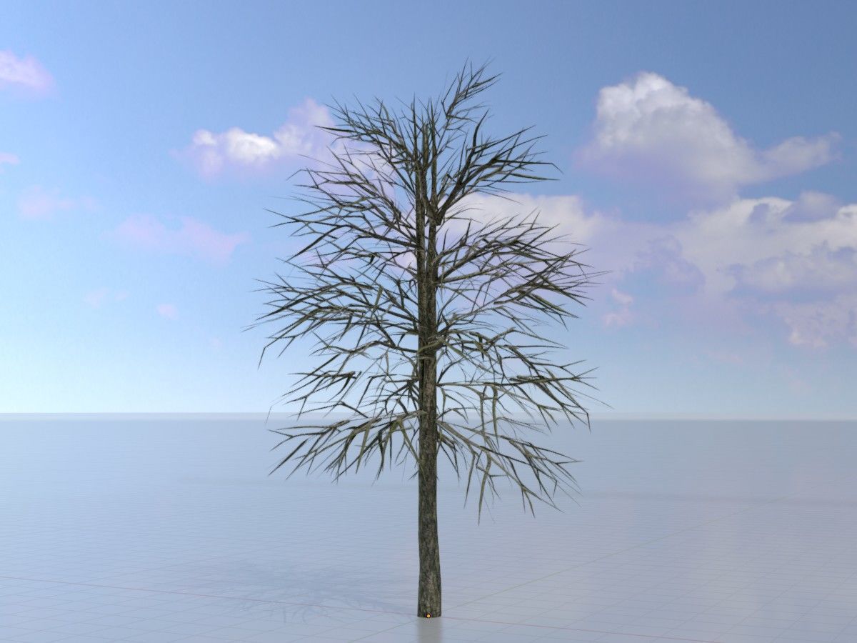 Alnus glutinosa tree winter Package 3D Model Collection_29