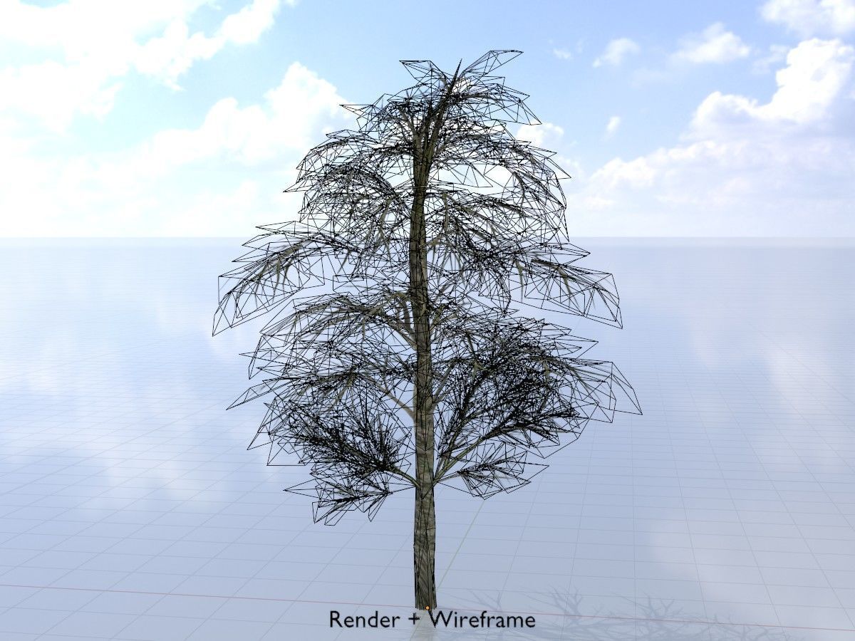 Alnus glutinosa tree winter Package 3D Model Collection_42