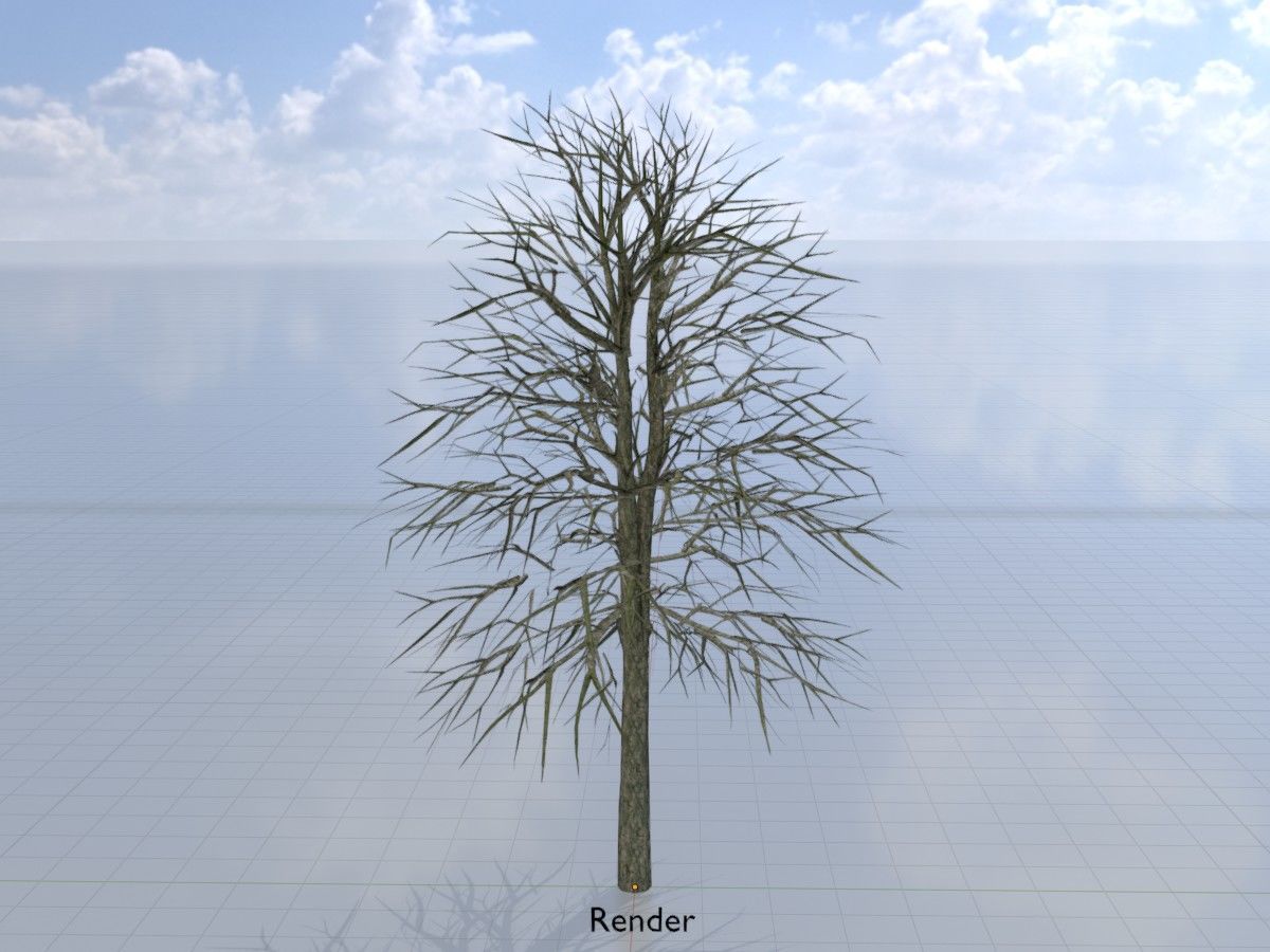 Alnus glutinosa tree winter Package 3D Model Collection_64