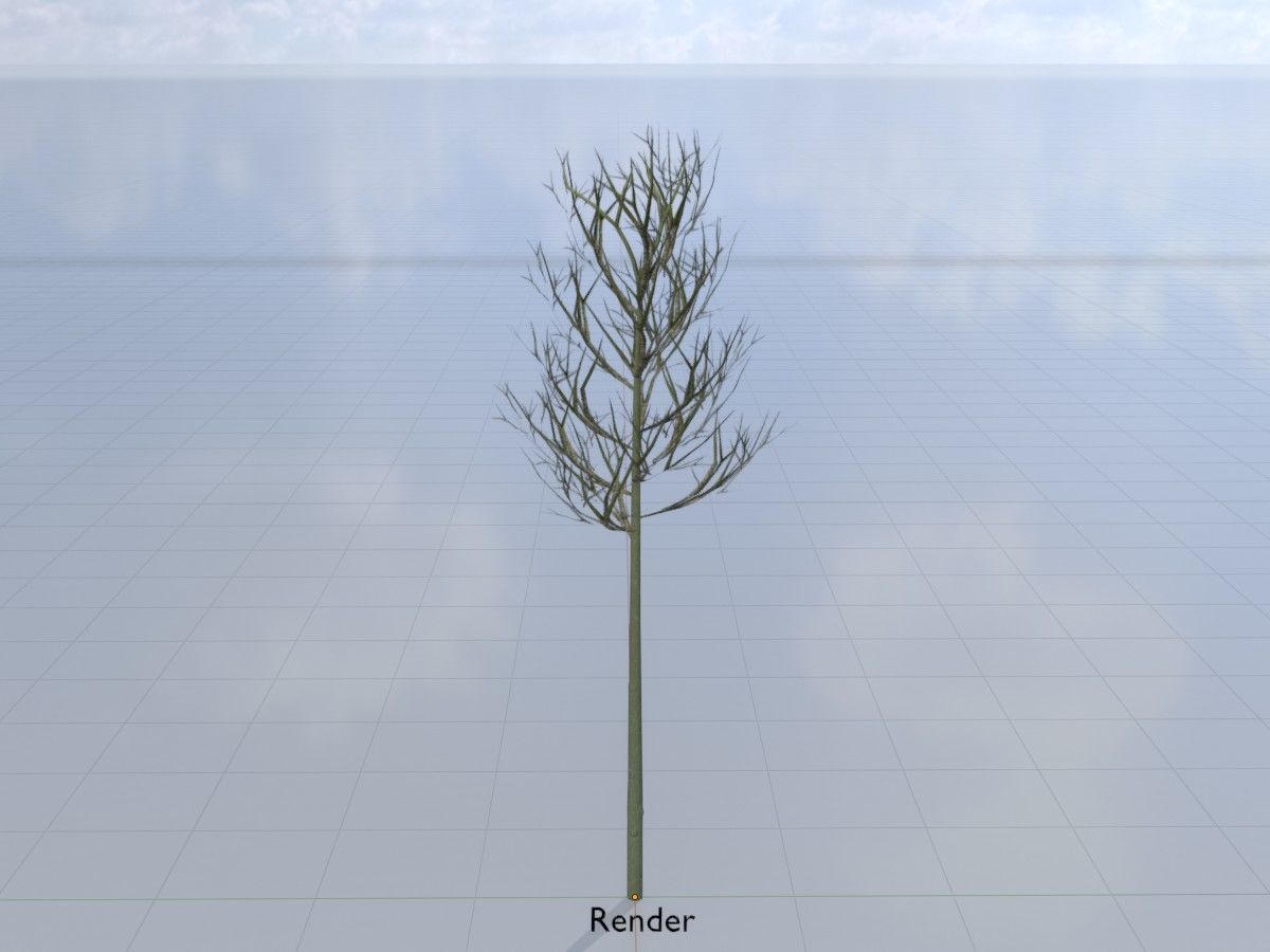 Alnus glutinosa tree winter Package 3D Model Collection_69