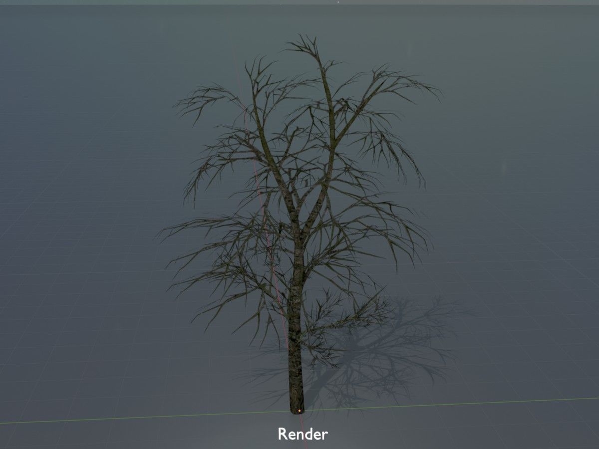 Alnus glutinosa tree winter Package 3D Model Collection_84