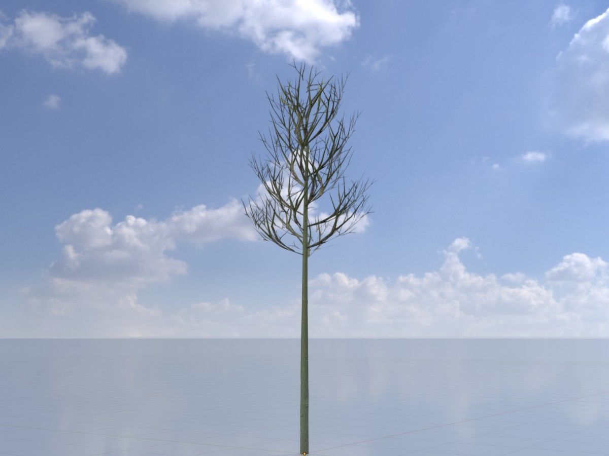 Alnus glutinosa tree winter Package 3D Model Collection_27