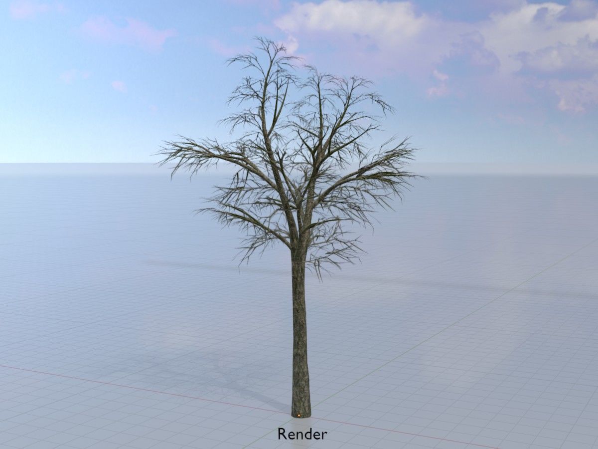 Alnus glutinosa tree winter Package 3D Model Collection_72