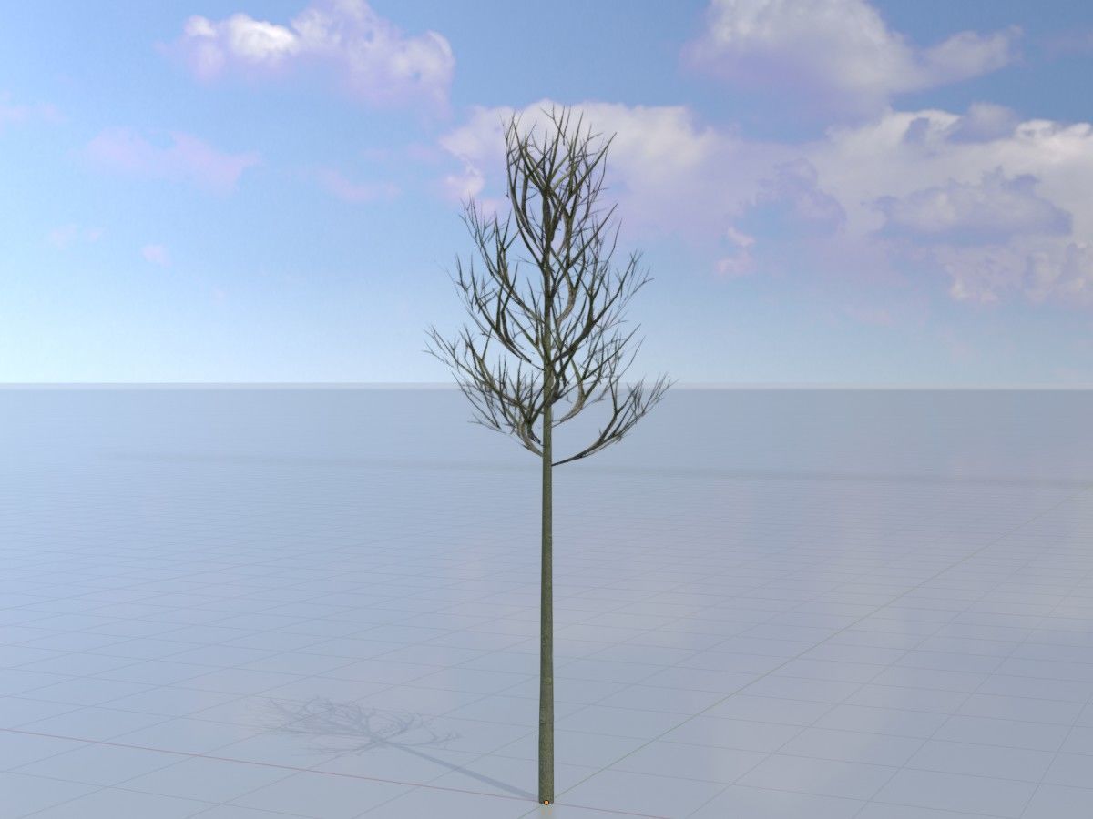 Alnus glutinosa tree winter Package 3D Model Collection_34
