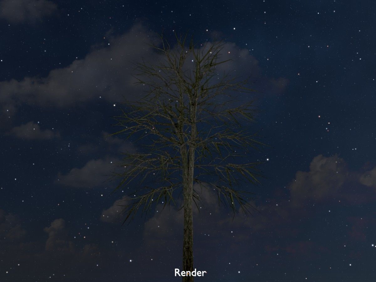 Alnus glutinosa tree winter Package 3D Model Collection_106