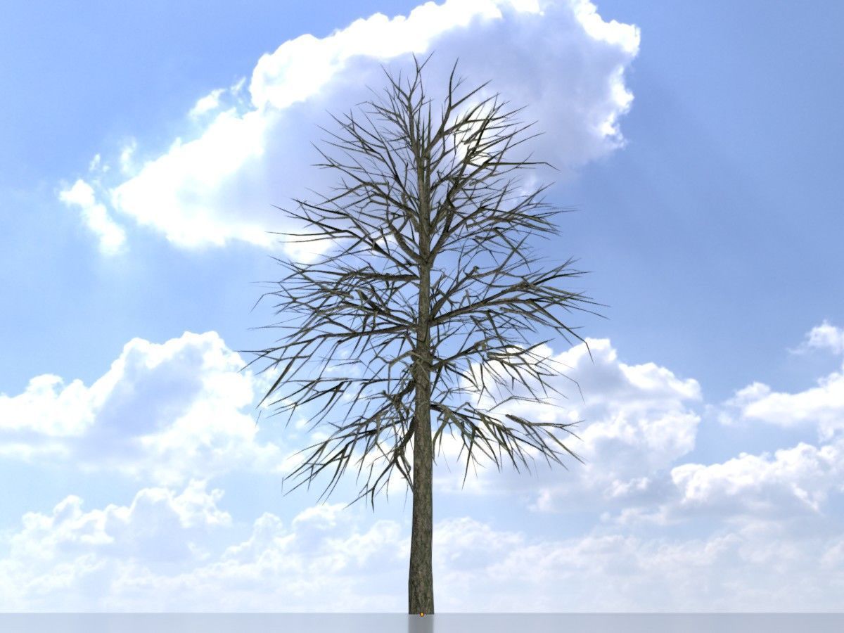 Alnus glutinosa tree winter Package 3D Model Collection_15