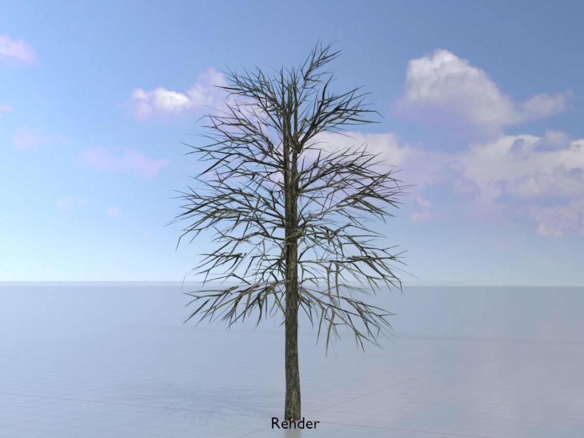 Alnus glutinosa tree winter Package 3D Model Collection_71